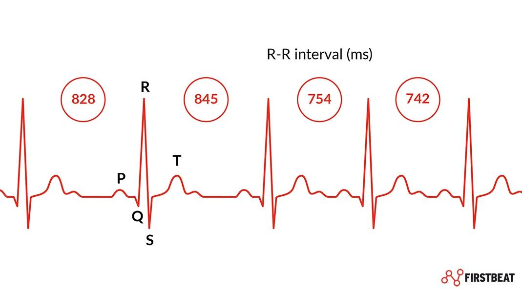 RMR and heart rate variability